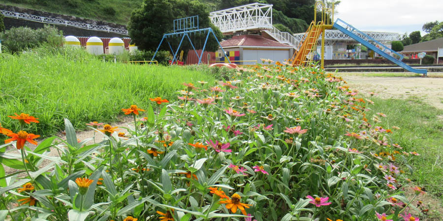 幡豆はず情報室